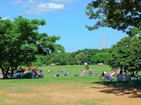 日本と韓国、“コロナ自粛”で起きたキャンプブームは今どうなっている？