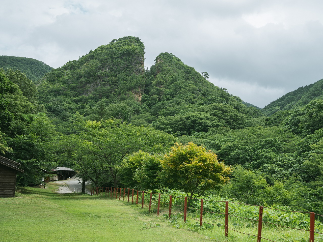 遺族の参加費用すら出さない…日本が開催する「佐渡島の金山」の追悼式、韓国が“真摯さ”を疑うワケ