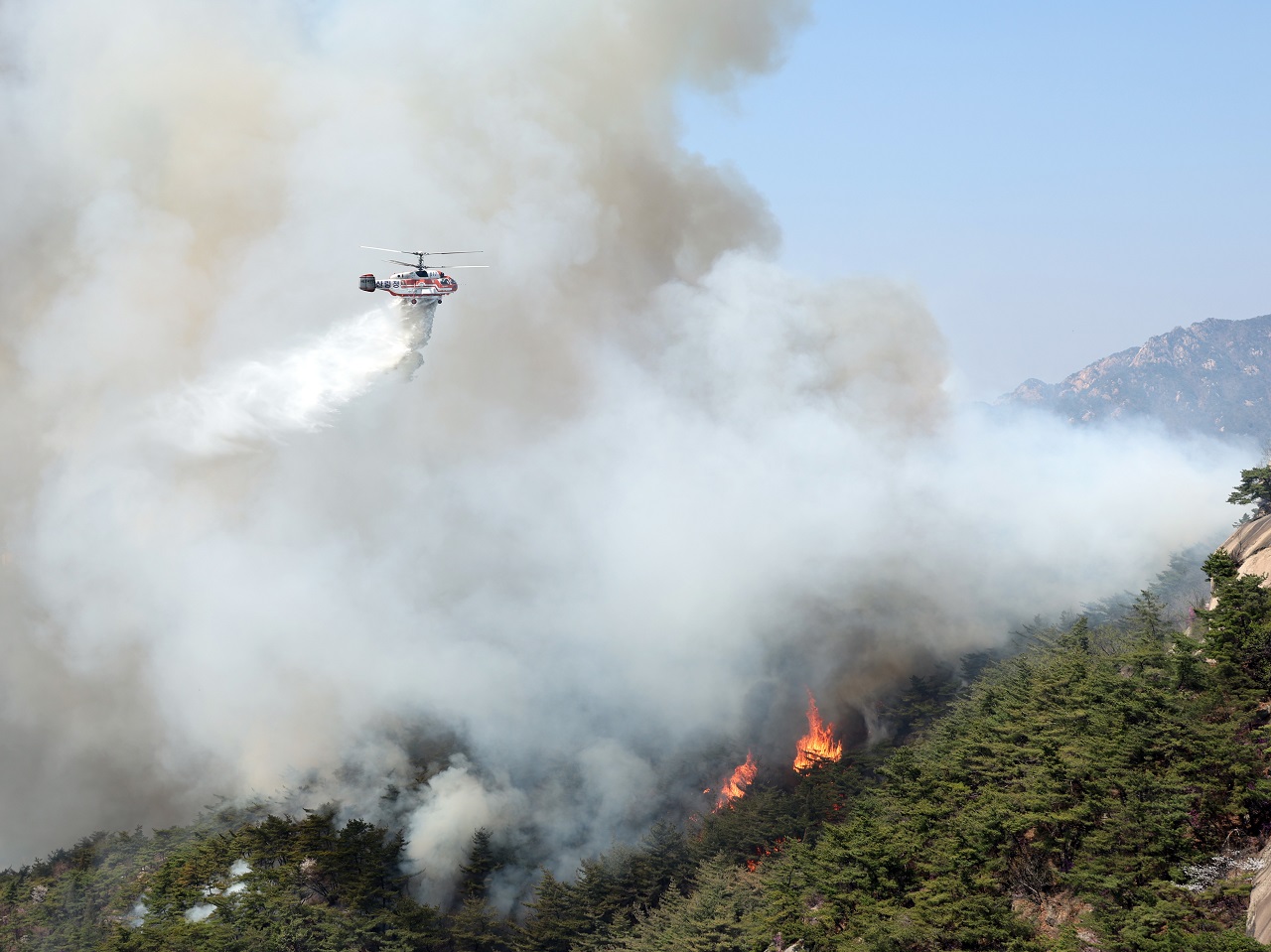 女性消防官を山火事現場に派遣しなかった男性上司、韓国で“性差別”と判断…オンライン上では賛否の声