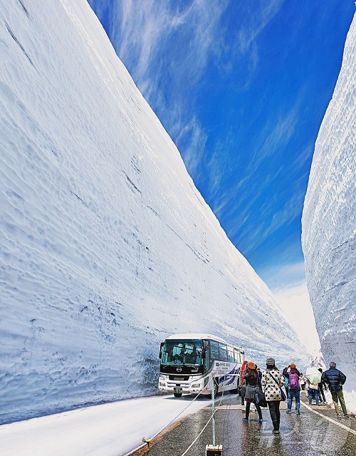 富山の「雪の大谷」