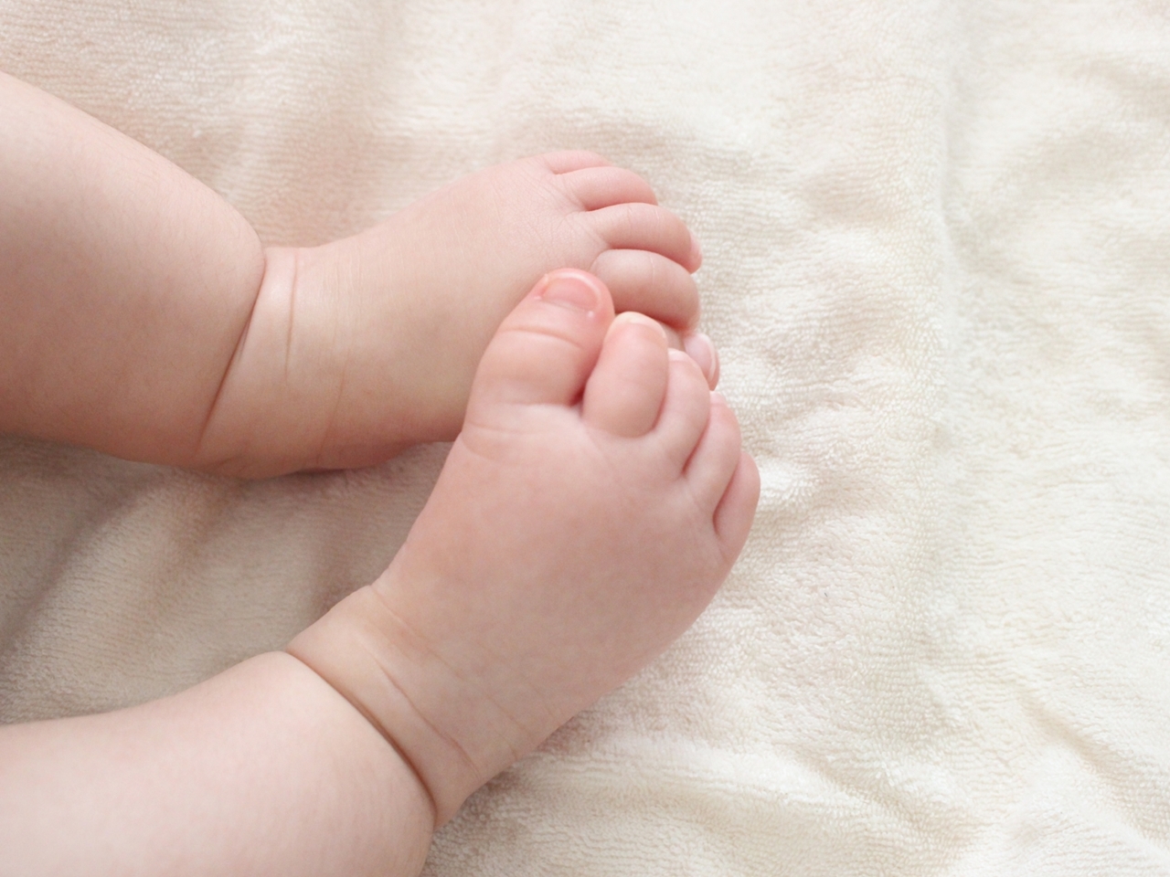 生まれたばかりの新生児を“紙袋”に入れて遺棄…韓国で衝撃事件、犯人は外国人留学生だった