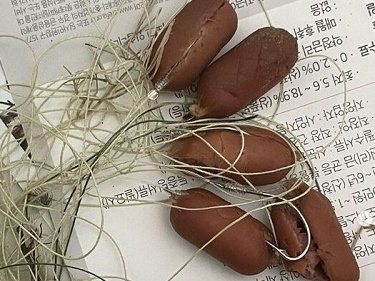 ソーセージの中に釣り針が…人気の散歩スポットに隠された“悪意”に韓国中が大激怒